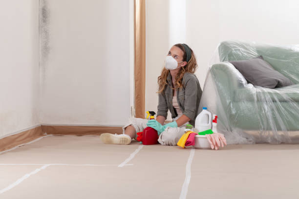 Reliable Black Mold Removal contractor in Avenue, MD by WQB Mold Removal